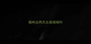 猫咪这两天总是喵喵叫