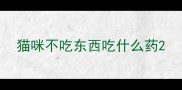 猫咪不吃东西吃什么药