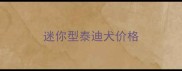 迷你型泰迪犬价格