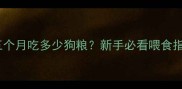 泰迪五个月吃多少狗粮新手必看喂食指南
