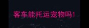 客车能托运宠物吗