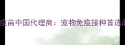 宠物疫苗品牌推荐英特威疫苗中国代理商宠物免疫接种首选品牌守护毛孩健康指南