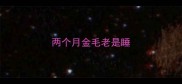 两个月金毛老是睡