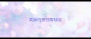 美国的宠物有哪些