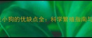 拉布拉多生小狗的优缺点全科学繁殖指南与风险提示