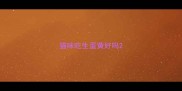 猫咪吃生蛋黄好吗
