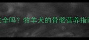 边牧吃羊骨头安全吗牧羊犬的骨骼营养指南附喂食禁忌