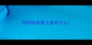狗狗缺微量元素吃什么