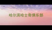哈尔滨哈士奇俱乐部