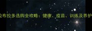 半岁拉布拉多选购全攻略健康疫苗训练及养护要点