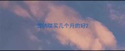 雪纳瑞买几个月的好