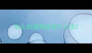 怎么知道狗疫苗打上没