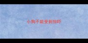 小狗不能受到惊吓