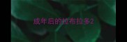成年后的拉布拉多