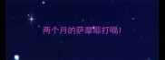 两个月的萨摩耶打嗝
