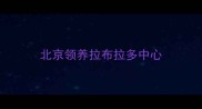 北京领养拉布拉多中心