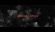 上海遗失黑色拉布拉多