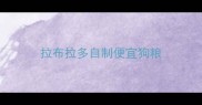 拉布拉多自制便宜狗粮