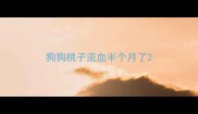 狗狗桃子流血半个月了
