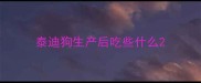 泰迪狗生产后吃些什么