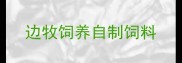边牧饲养自制饲料