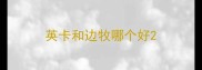 英卡和边牧哪个好