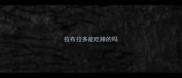 拉布拉多能吃辣的吗