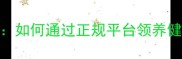淘宝免费领养宠物狗全流程指南如何通过正规平台领养健康狗狗附真实案例与避坑攻略