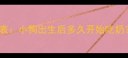 幼犬哺乳期关键时间表小狗出生后多久开始吃奶附科学喂养全攻略