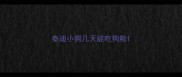 泰迪小狗几天能吃狗粮