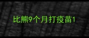 比熊9个月打疫苗