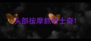 头部按摩抓哈士奇