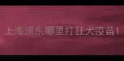 上海浦东哪里打狂犬疫苗