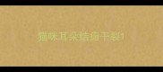 猫咪耳朵结痂干裂