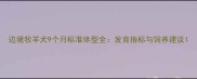 边境牧羊犬9个月标准体型全发育指标与饲养建议