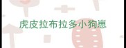 虎皮拉布拉多小狗崽