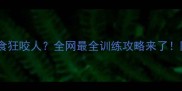 哈士奇三个月护食狂咬人全网最全训练攻略来了附30天纠正案例