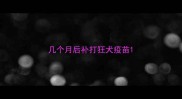 几个月后补打狂犬疫苗