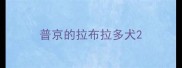 普京的拉布拉多犬