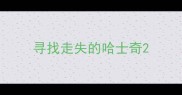 寻找走失的哈士奇
