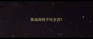 泰迪突然不吃东西