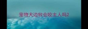 宠物犬边牧会咬主人吗