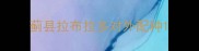 蓟县拉布拉多对外配种