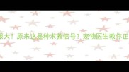 狗狗互助舔眼大原来这是种求救信号宠物医生教你正确护理方法