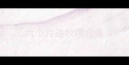 六个月边牧喂食量