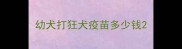 幼犬打狂犬疫苗多少钱