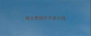哈士奇拍片子多少钱