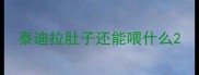 泰迪拉肚子还能喂什么
