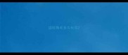 边牧换毛多久长回