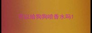 可以给狗狗喷香水吗